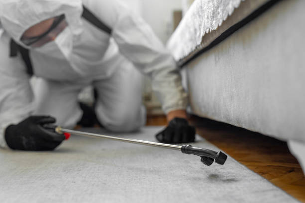 Professional Termite Control technician working in Fillmore, CA