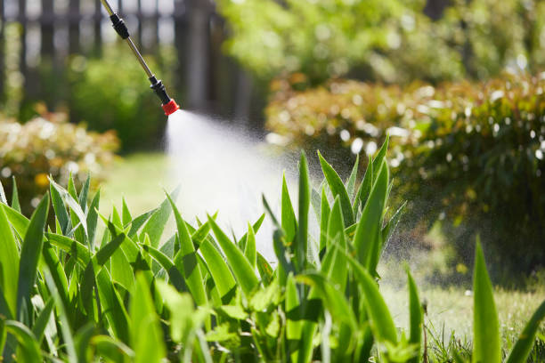 24/7 Emergency Termite Control experts in Fillmore, CA